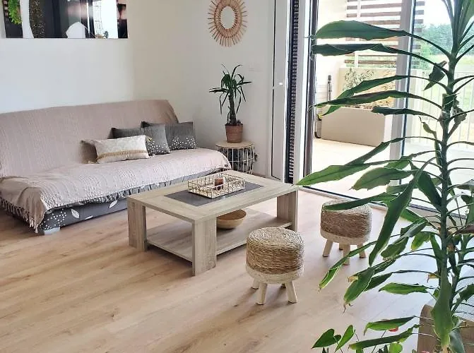 T2 Sur Avec Grande Terrasse موجيو